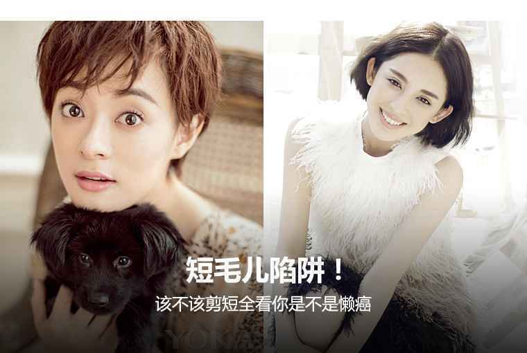 短毛儿陷阱！打理的好就上瘾 打理不好就
