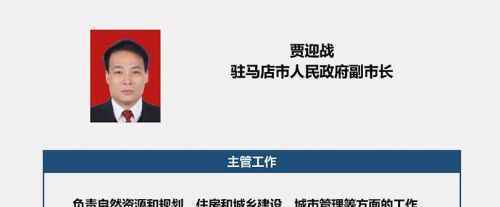 河南一副市长怒斥施工队偷工减料 驻马店贾迎战简历照片