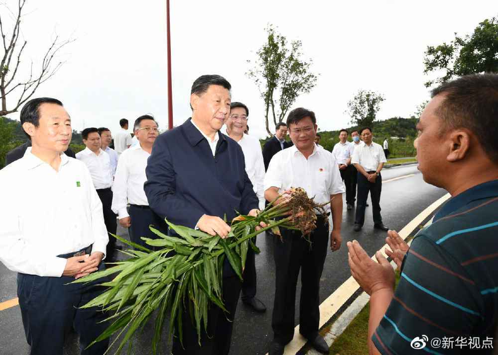 习近平赴湖南考察调研