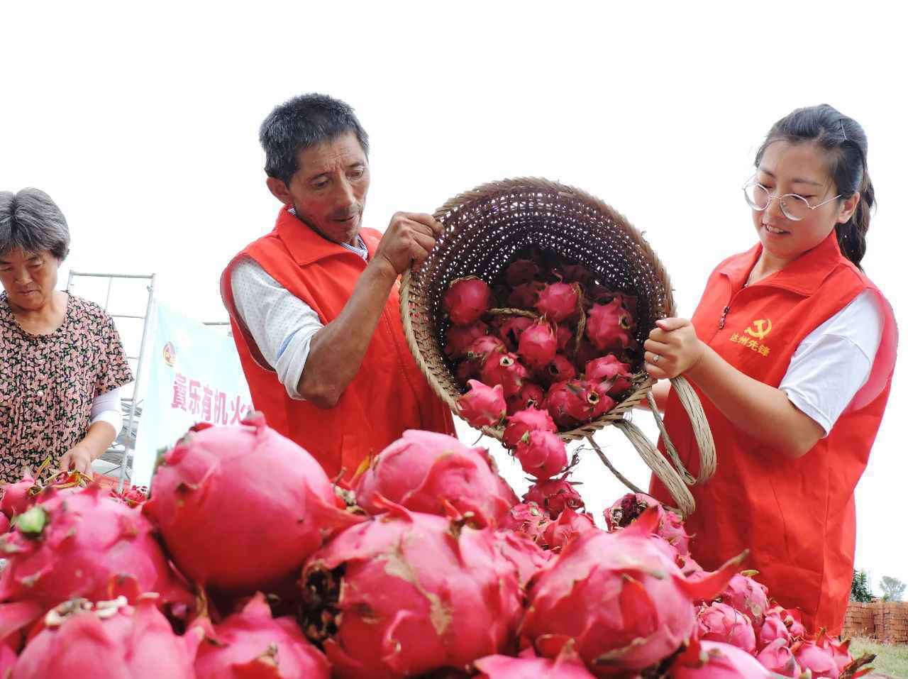 习近平和他的农民朋友