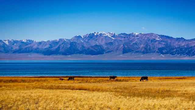 新时代的新疆故事,亚克西!