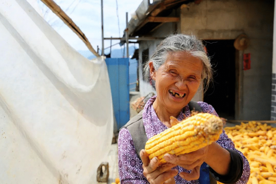 这五年,五大发展理念这样改变我们的生活