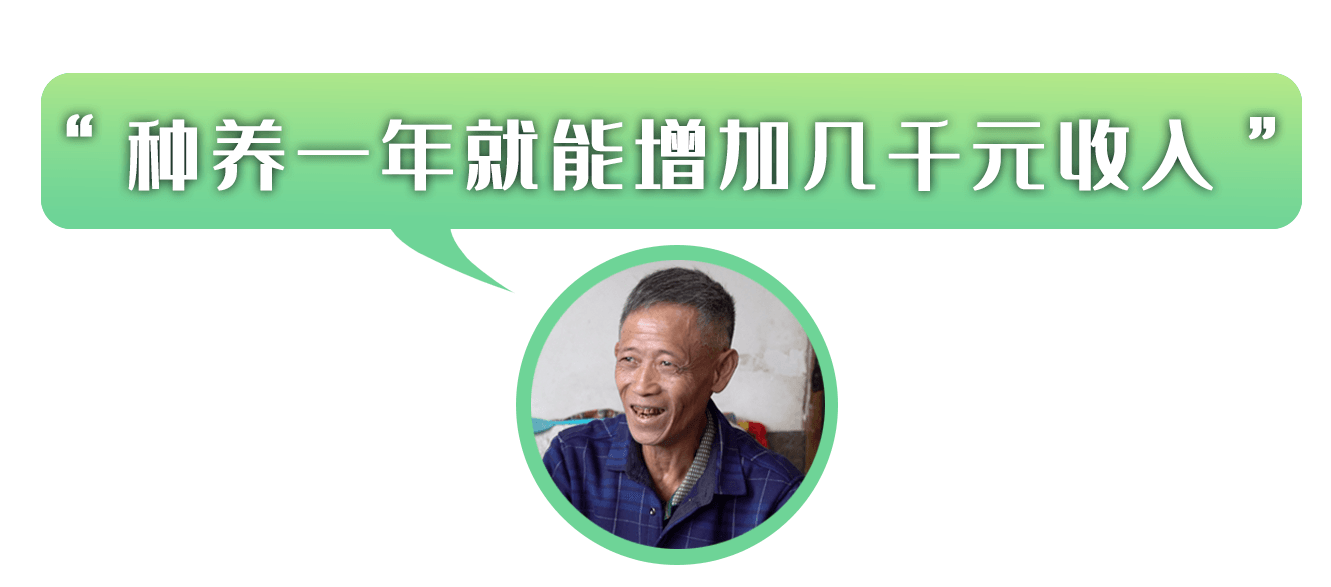 向总书记报告丨花茂村的笑声