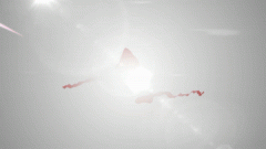 /uploads/allimg/201026/102T93623_lit.gif