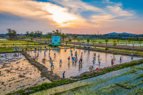 全国网媒探营华南两大万亩现代农业产业园,貌美如花还能赚钱养家!