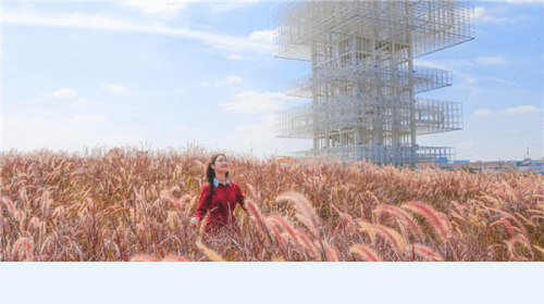 全国网媒探营华南两大万亩现代农业产业园,貌美如花还能赚钱养家!