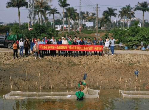 全国网媒总编齐聚九江：“佛山市南海区九江鱼花产业园”未来可期