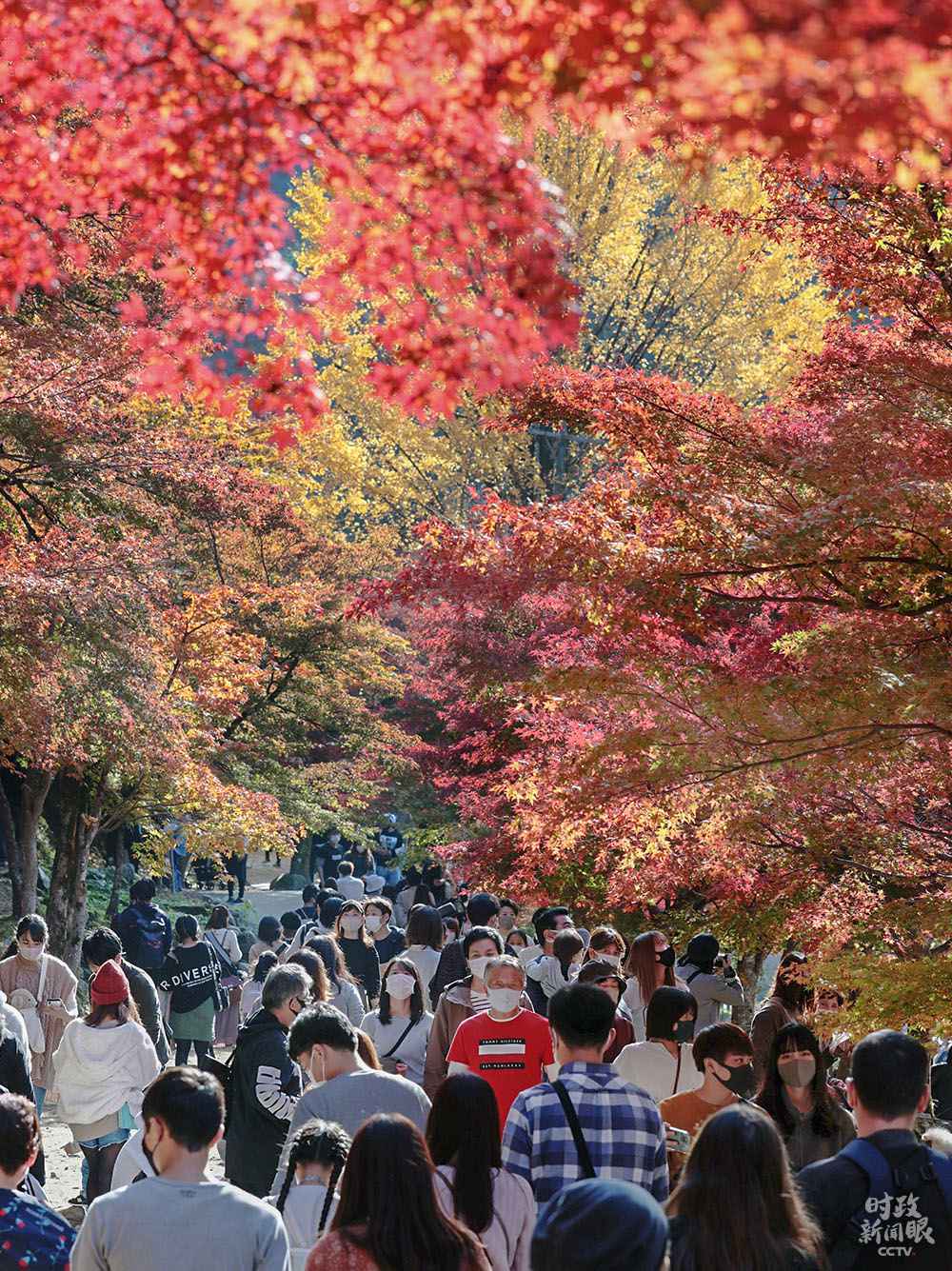 时政新闻眼丨在APEC这场对话会上,习近平阐述中国抉择的世界意义