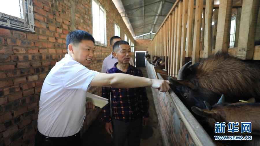 平凡的岗位，不平凡的业绩！——习近平总书记重要讲话激励各行各业劳动者建功新时代