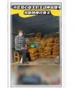 /uploads/allimg/201130/10520552M_lit.jpg