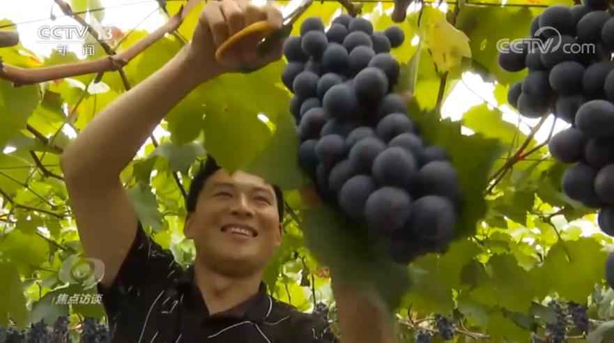 焦点访谈:一切努力和奋斗,都是为这件事圆满收官!