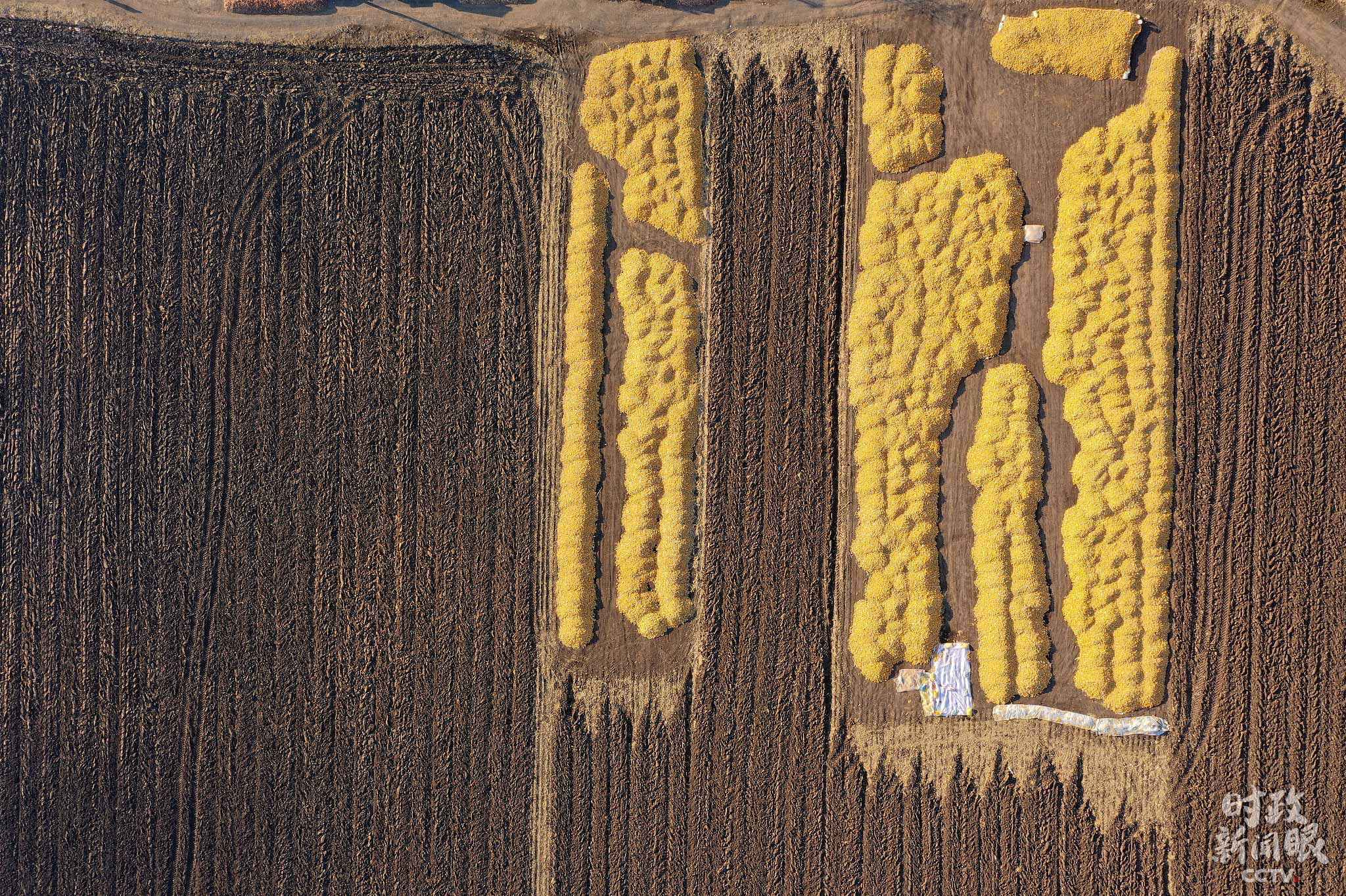 时政新闻眼丨心里更有底了!中央经济工作会议传递这些鲜明信息