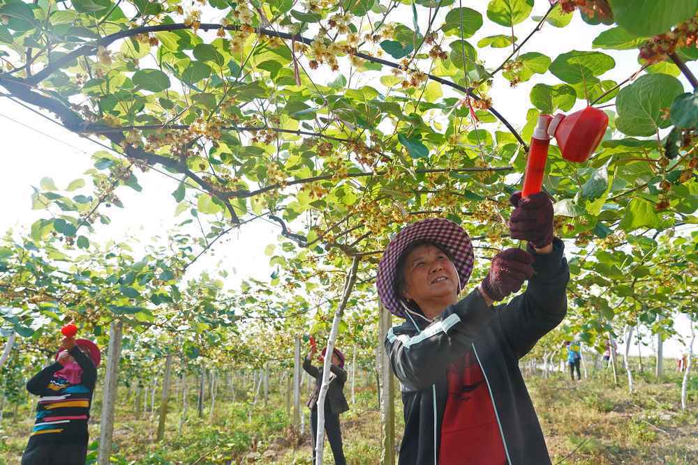 国际时评丨中国经济应变有为的成功密码