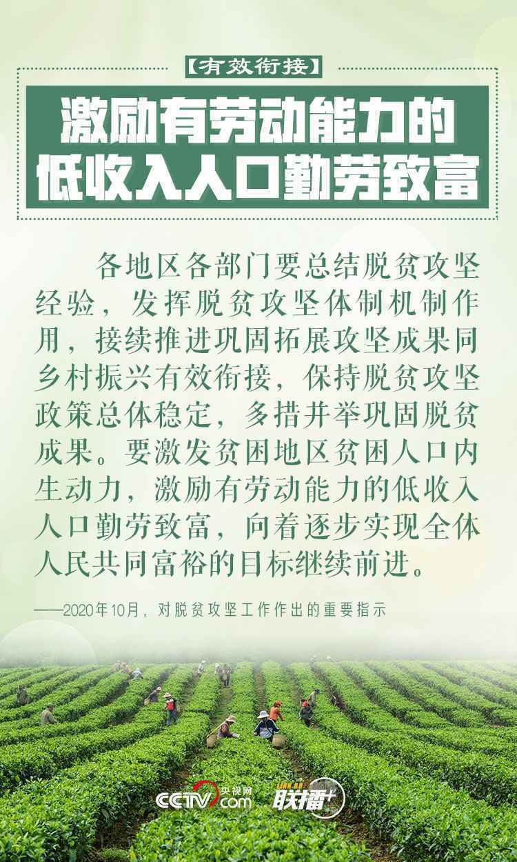 做好乡村振兴大文章 习近平反复强调这四个字