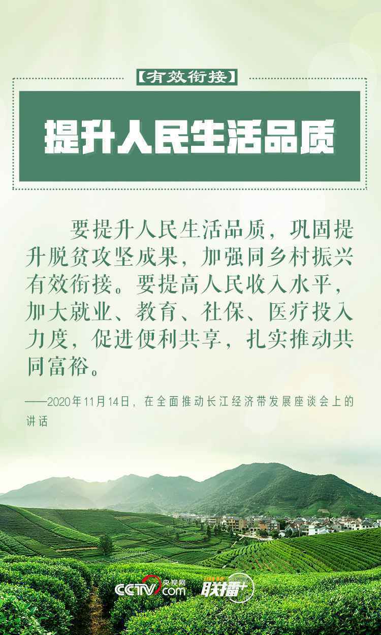 做好乡村振兴大文章 习近平反复强调这四个字