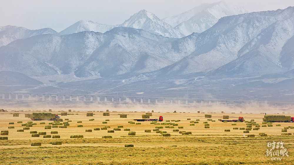 时政新闻眼丨这个重中之重的问题,习近平强调要用大历史观来看待