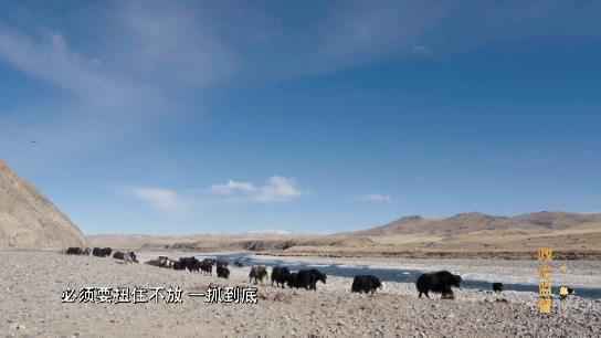 电视专题片《正风反腐就在身边》第一集:《政治监督》