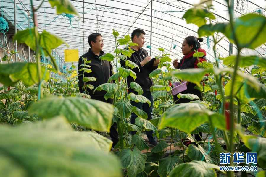 深化自我革命 不负百年华章——写在十九届中央纪委五次全会召开之际