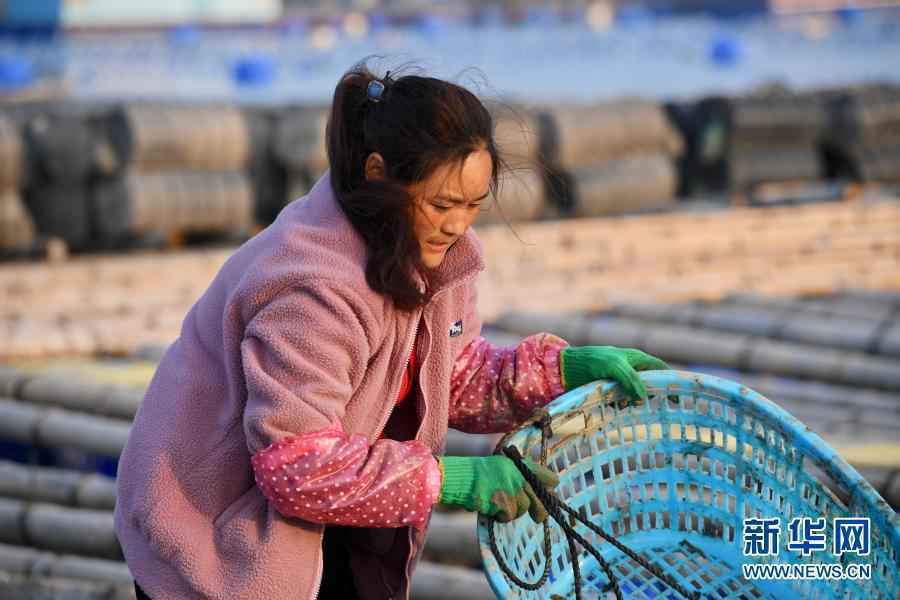 “春运母亲”何以感动亿万国人