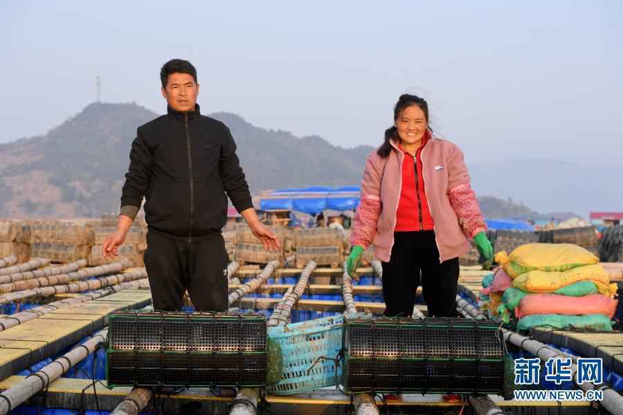 “春运母亲”何以感动亿万国人