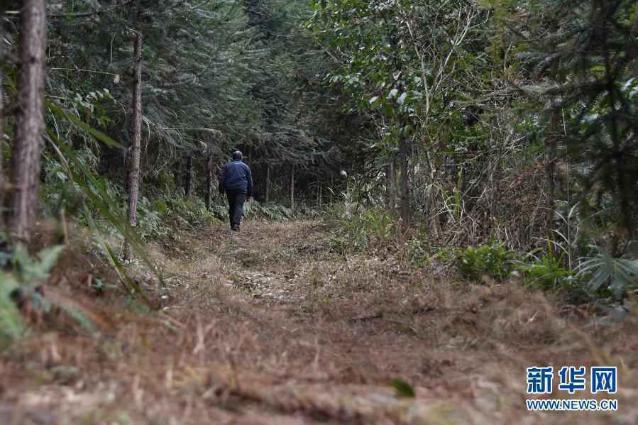 向着胜利，关键的抉择——重走花界读懂“通道转兵”