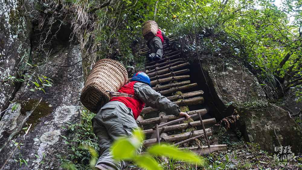 时政新闻眼丨这堂“开学第一课”,习近平主讲我们党的传家宝
