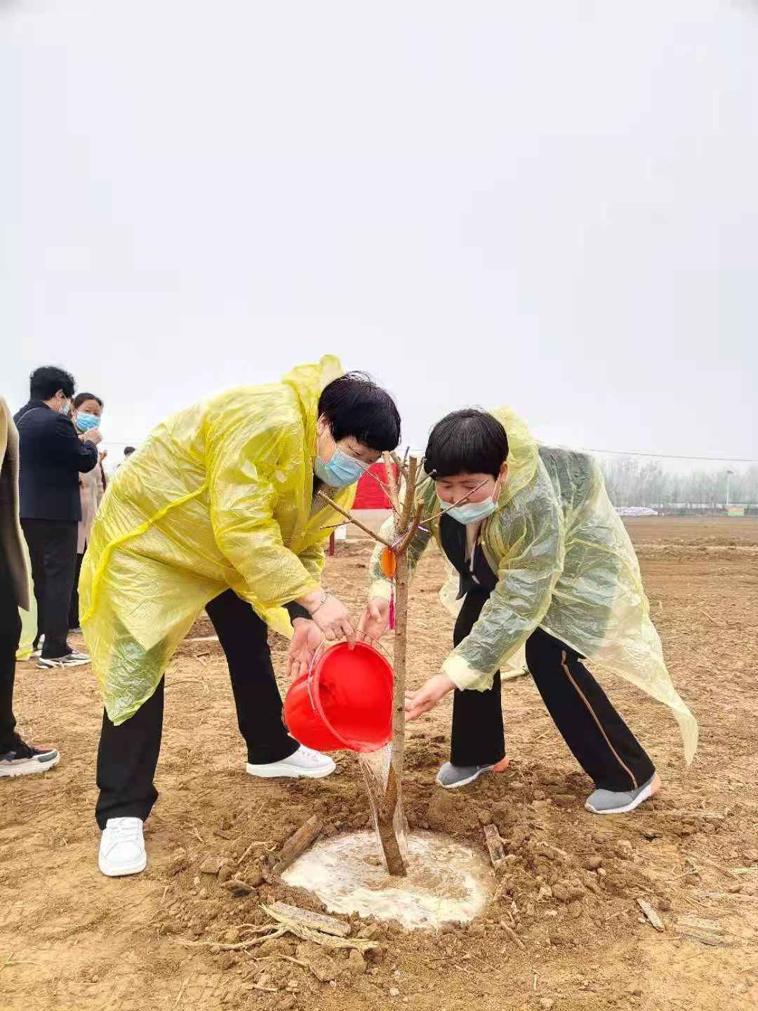 农银人寿河北分公司成功开展“3·15知识宣传暨植树活动”