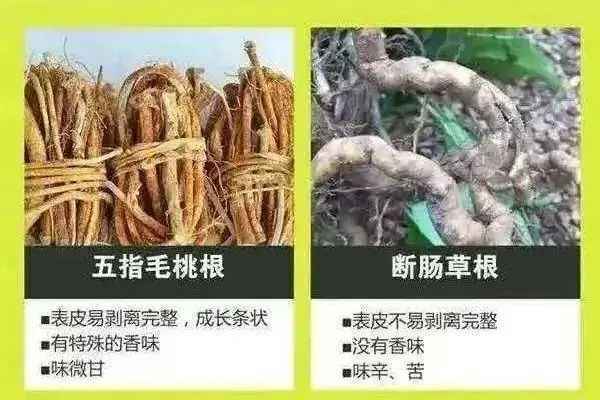 清明节将至，这八类食物千万别乱吃！