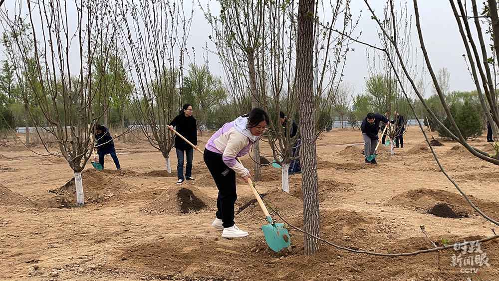 时政新闻眼丨参加首都义务植树，习近平揭示“好传统”的“新内涵”