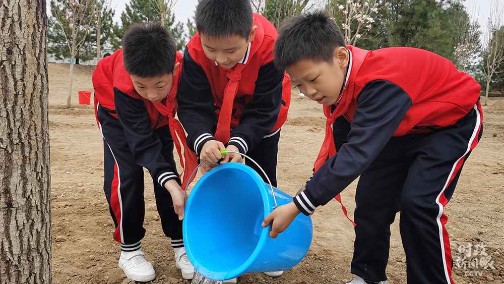 时政新闻眼丨参加首都义务植树，习近平揭示“好传统”的“新内涵”