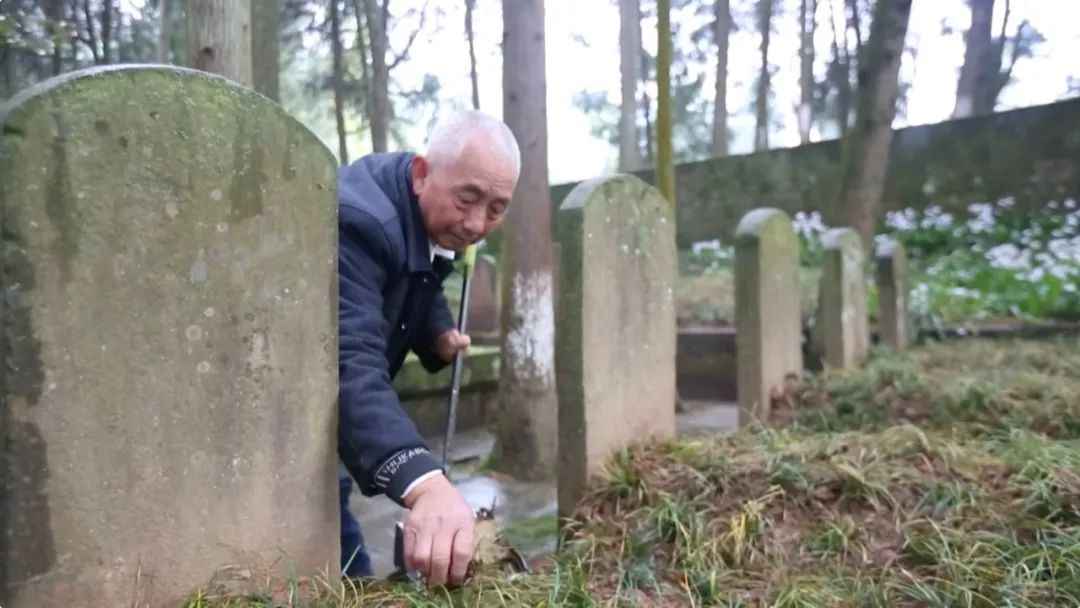 86年，无名墓碑，无私守护……