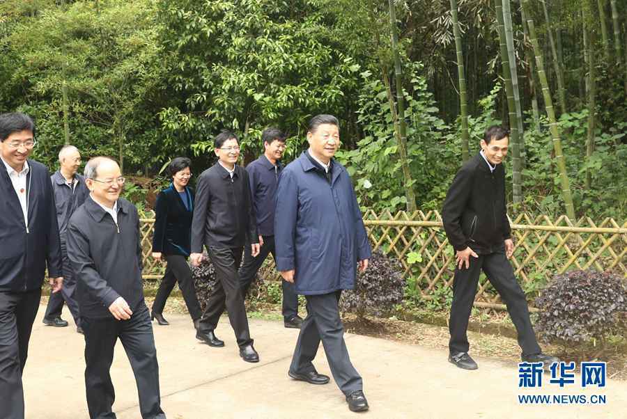 “加油、努力,再长征!”——习近平总书记考察广西纪实