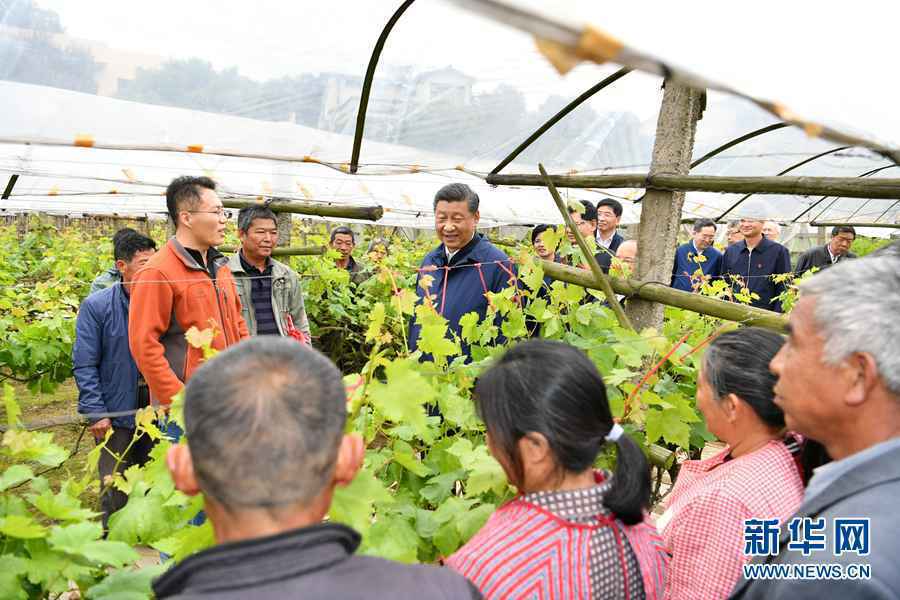 “加油、努力,再长征!”——习近平总书记考察广西纪实