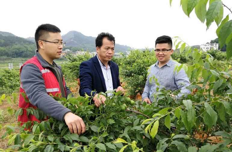 青春之歌,这young唱