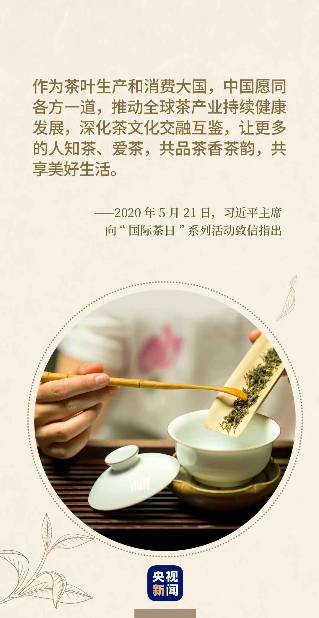 茶之节 且品茗