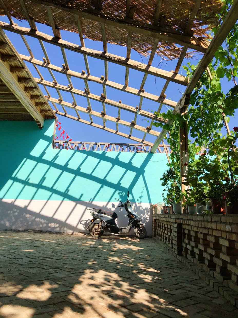 一路向西看见最真实的新疆:高原牧羊,边境垦荒、瓦克瓦克灯亮了……